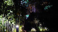 Gardens at Night-20.jpg